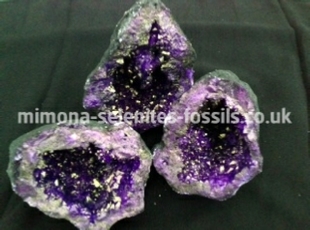 Mimona Selenites and Fossils Mimona Selenites and Fossils