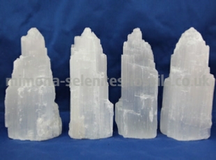 Mimona Selenites and Fossils Mimona Selenites and Fossils